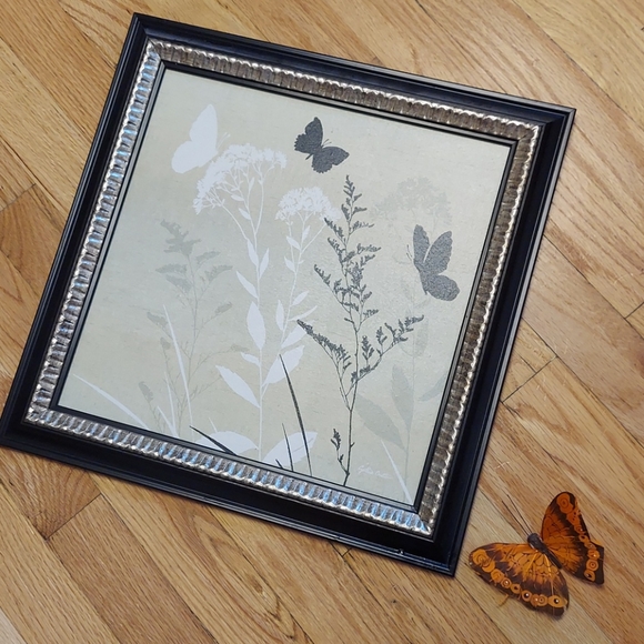 Butterfly nature picture - Picture 2 of 8